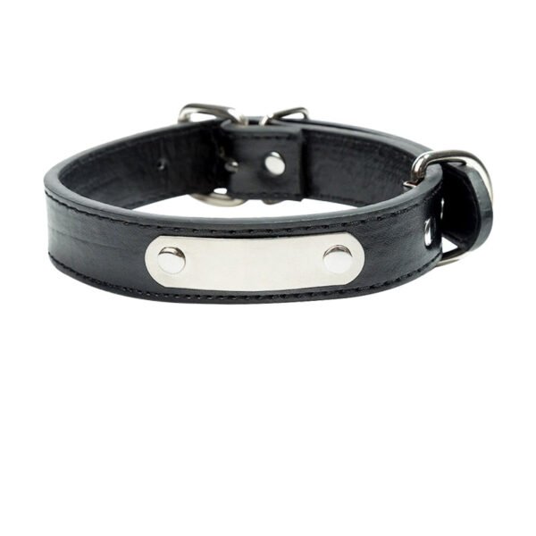 Collier Chien Cuir Noir Gravé 1746