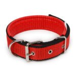 Collier Pour Bulldog Anglais 1255