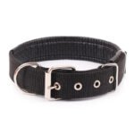 Collier Pour Bulldog Anglais 1259