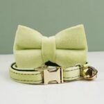Collier Pour Chat En Velours Personnalisé 1569