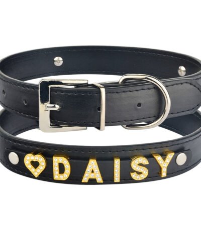 Collier Pour Chien Doré – Coscar 1707