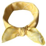 Foulard Pour Chien – Coscar 2027