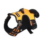 Harnais Pour Golden Retriever 527