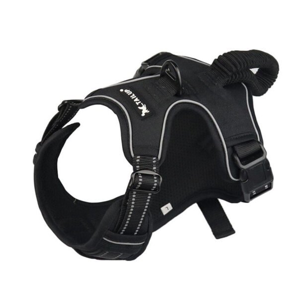 Harnais Pour Golden Retriever 529