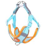 Harnais Pour Shiba Inu 525