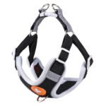 Harnais Pour Shiba Inu 526